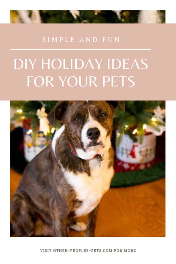 Amazing DIY Holiday Ideas for Your Dogs and Cats #Dogs #Cats #ChristmasPets
