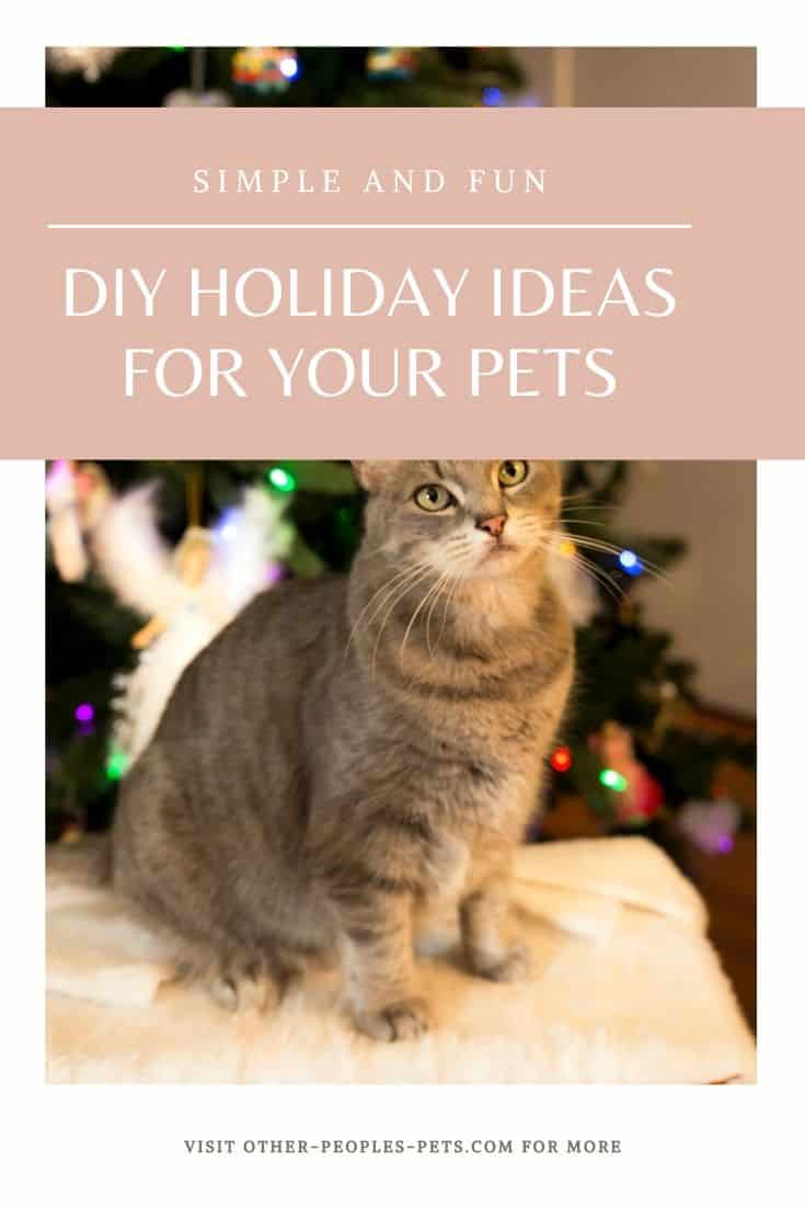 Amazing DIY Holiday Ideas for Your Dogs and Cats #CatsChristmas #DogsChristmas #PetsChristmas