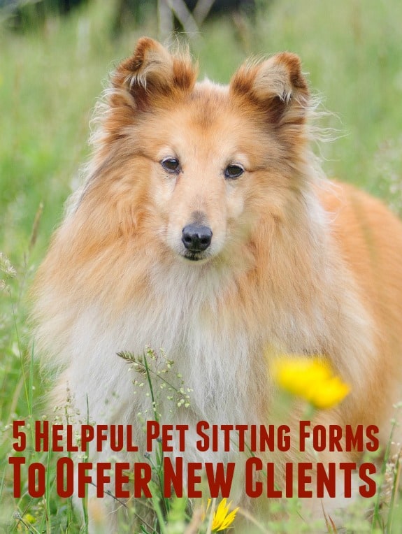 When I have a new pet sitting client, I find that it's very helpful to have a few standard pet sitting forms on hand to collect information. 