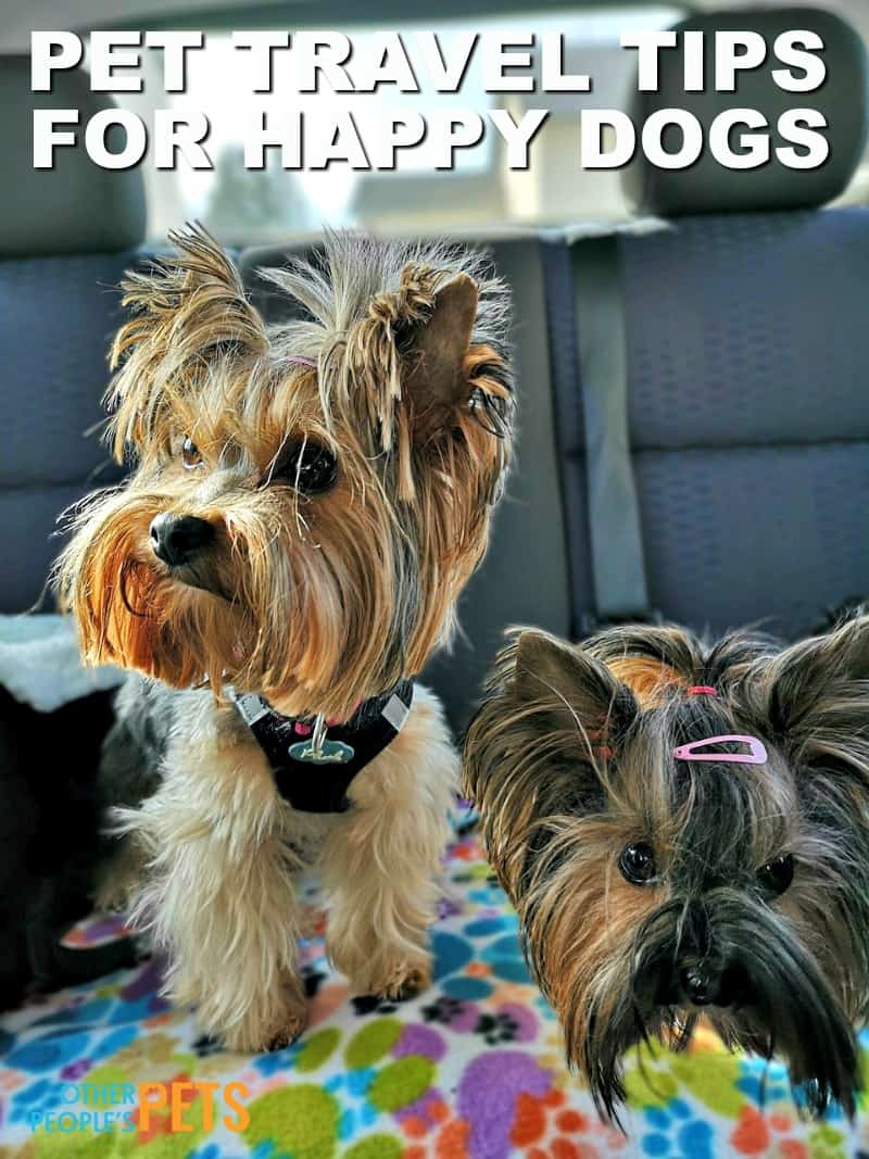 Pet Traveling Tips To Keep Your Dog Happy