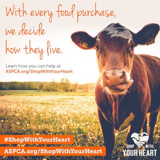 Shop With Your Heart and Help Animals