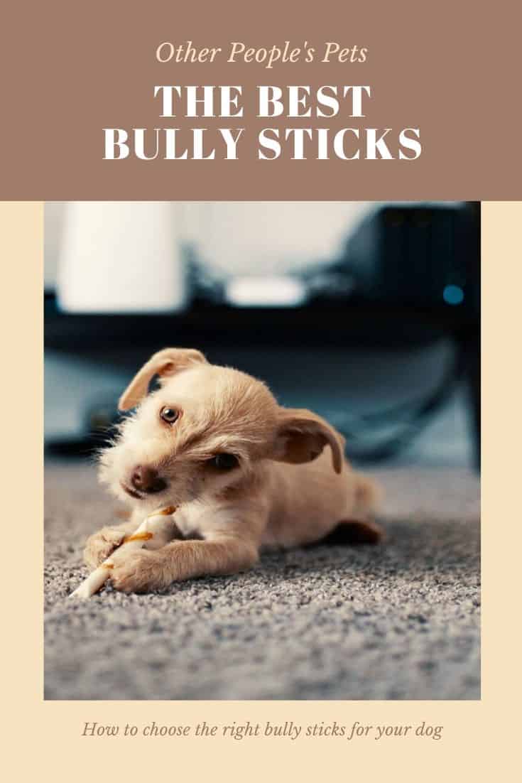 How to Choose the Best Bullysticks for Your Dog