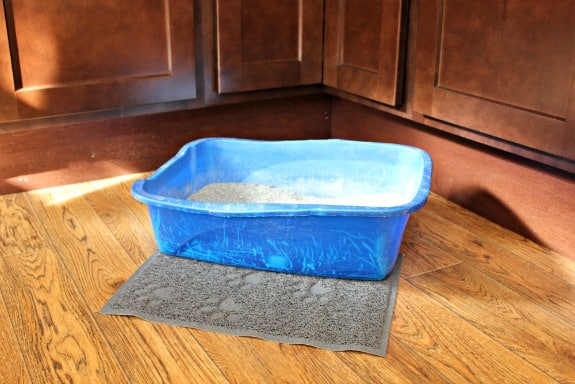 4 Tips for Keeping Your Litter Box Fresh