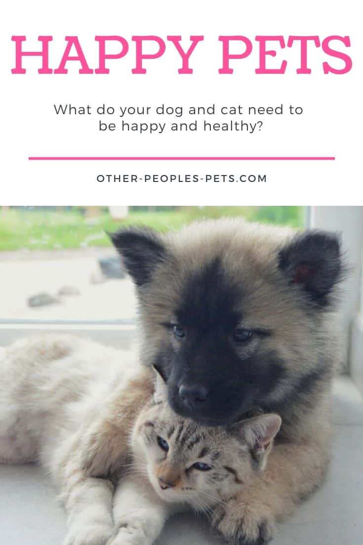 Keeping Your Pets Happy and Healthy
