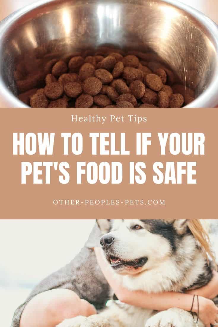 Is Your Pet's Food Safe? Here's How to Tell