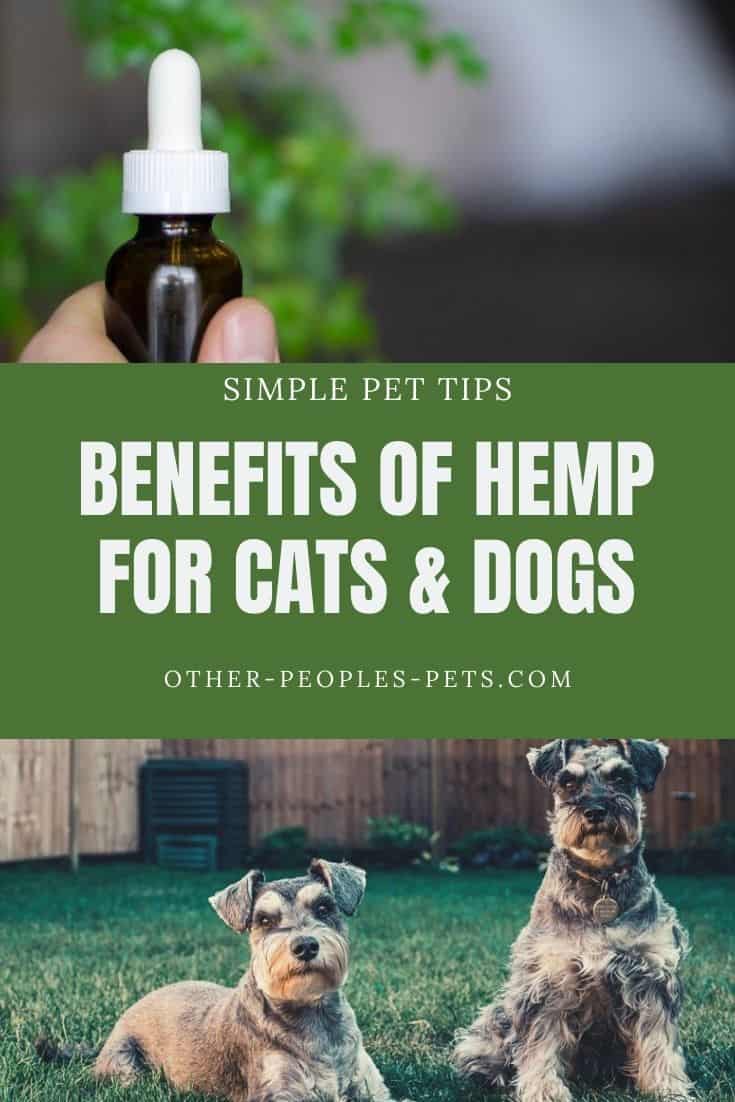 Hemp for Pets - Can My Pet Use CBD Oil?