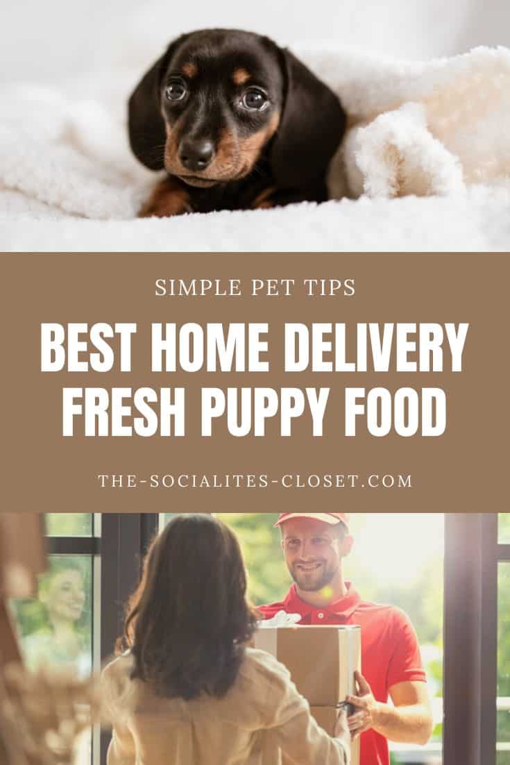 Fresh Puppy Food for Your Growing Dog