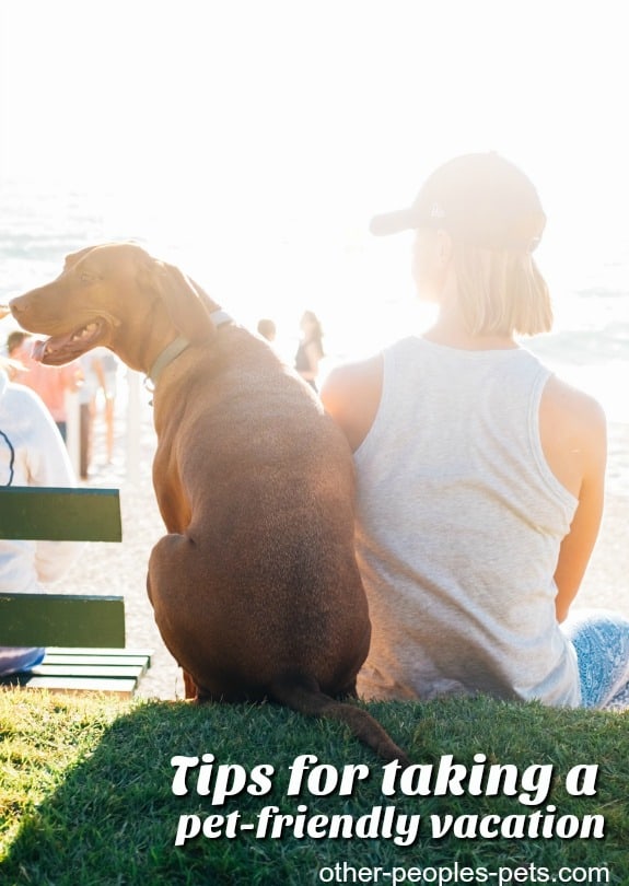 Tips for taking a pet friendly vacation