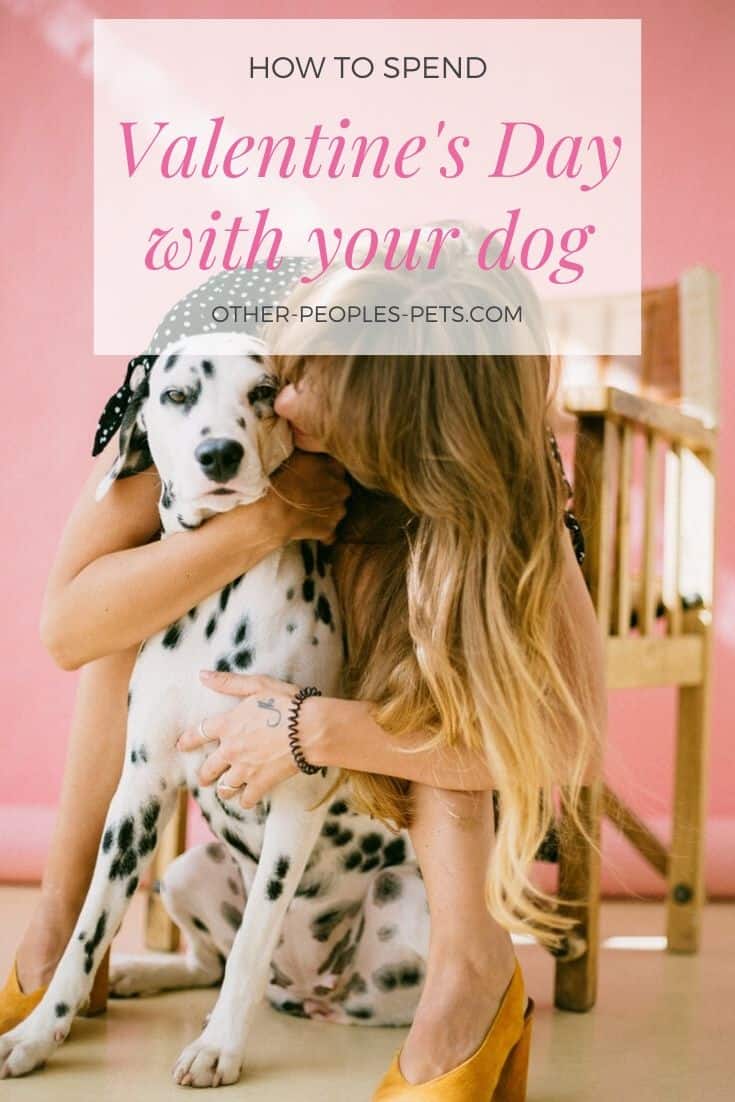 Celebrate Valentines Day With Your Dog #ValentinesDay #Dogs #DogOwner #DoggyDate