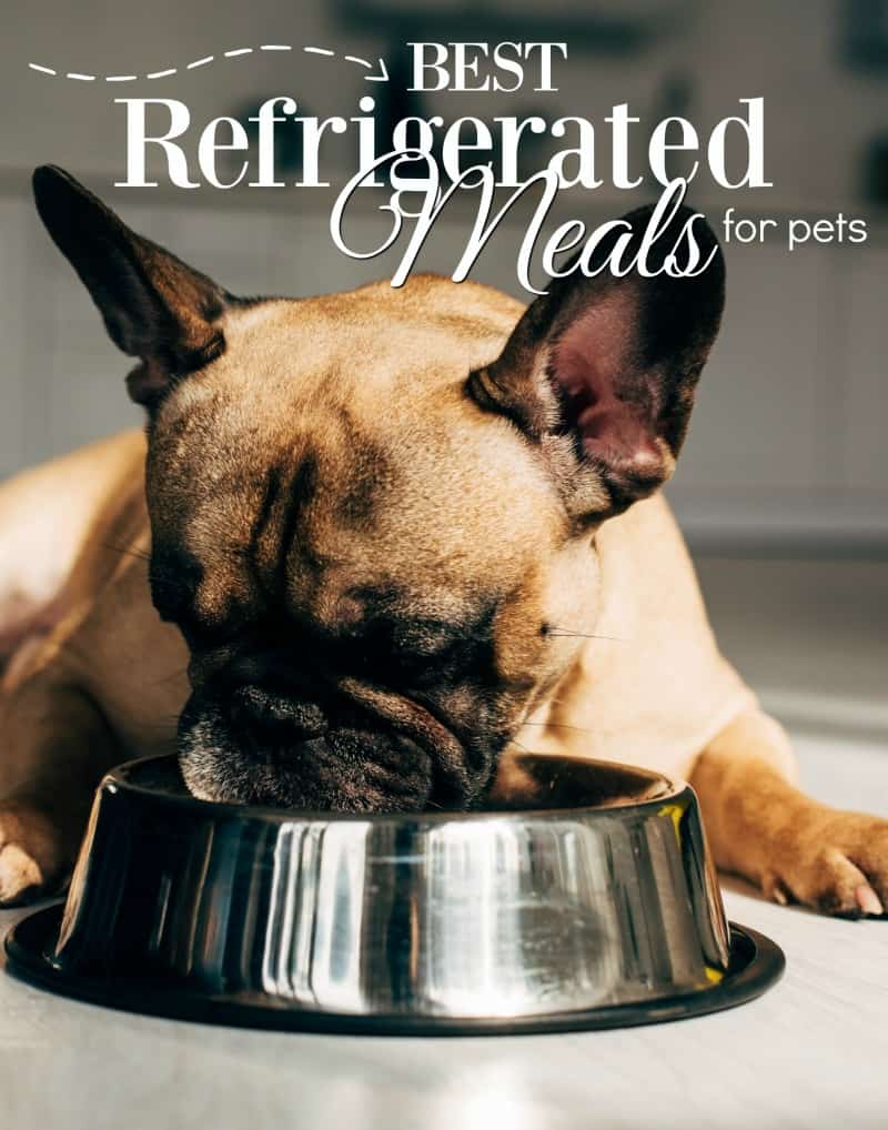 Easy Refrigerated Meals for Pets - Fresh and Delivered