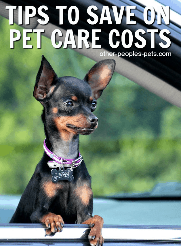 Smart Ways to Save Money on Pet Costs