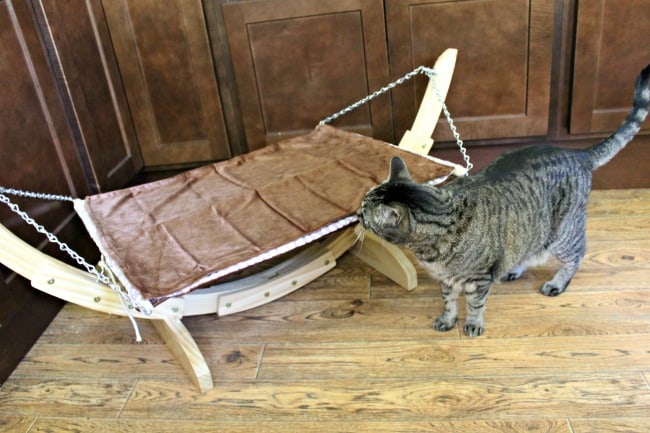 A relaxing cat hammock your cat will love