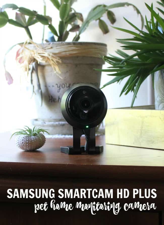 Pet Home Monitoring Camera: Samsung SmartCam HD Plus