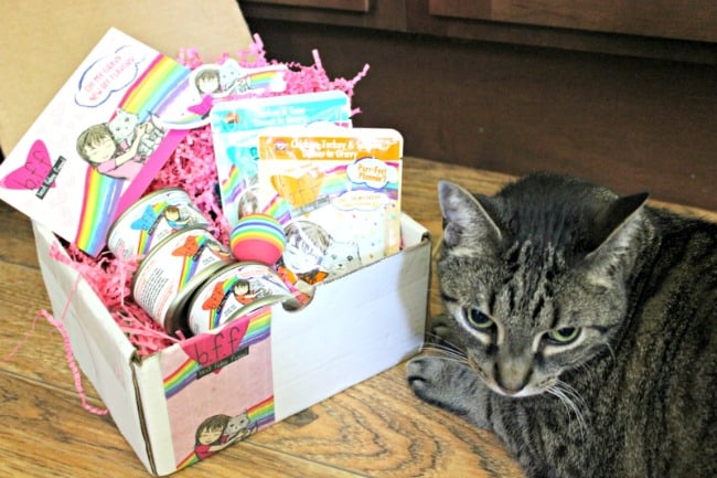 cat sitting near a box of cat food and treats