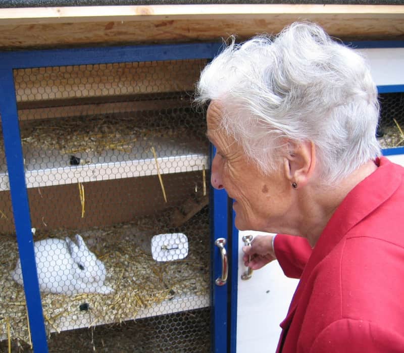 a woman looking into a rabbit hutch at a white rabbit