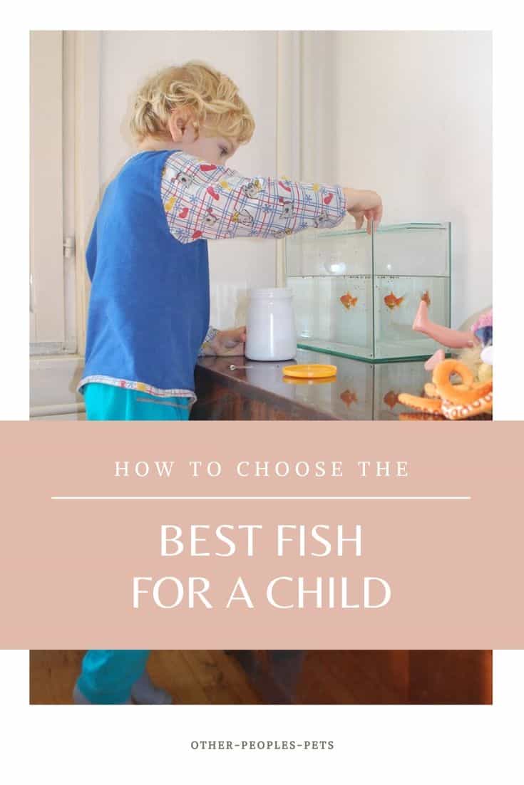 Best Fish For Children to Start With and Learn