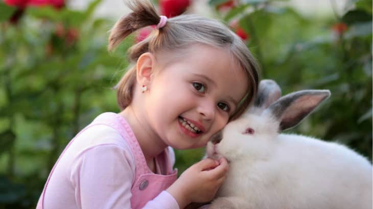 a little girl with pig tails holding a white rabbit