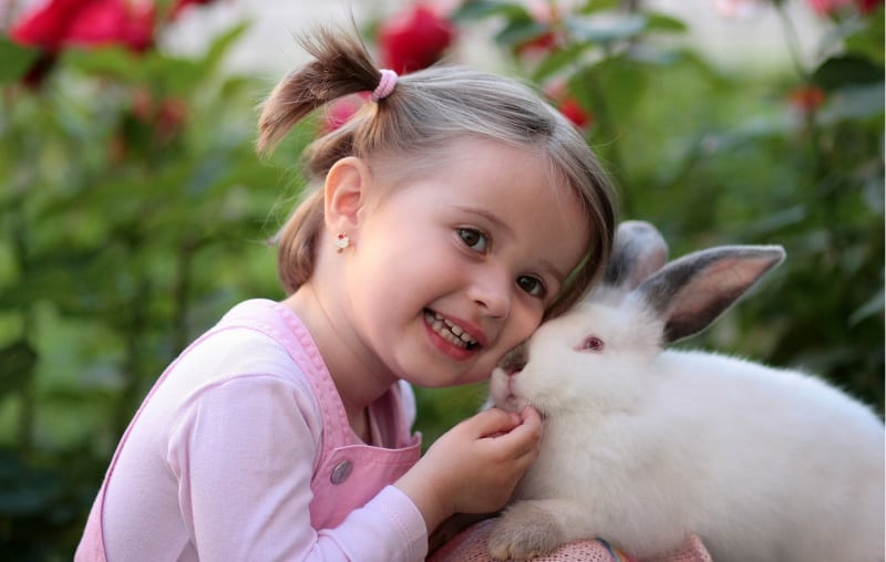 a little girl with pig tails holding a white rabbit