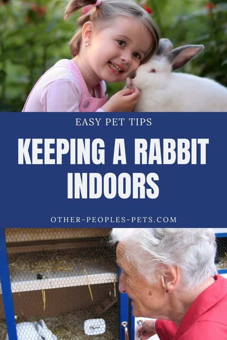 Wondering about keeping a rabbit indoors or caring for your pet rabbits? Here are a few tips before you bring home your bunny.