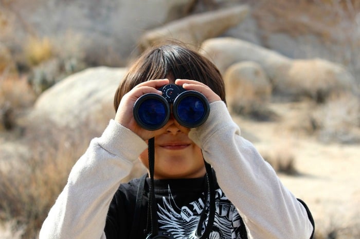 Child watching birds with binoculars
