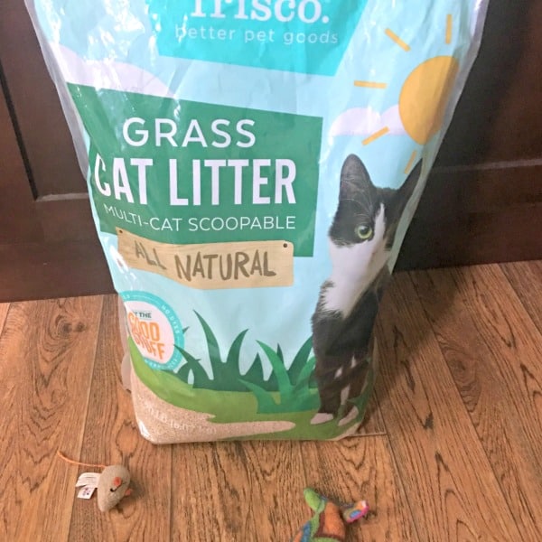 Natural Clumping Cat Litter that is Biodegradable