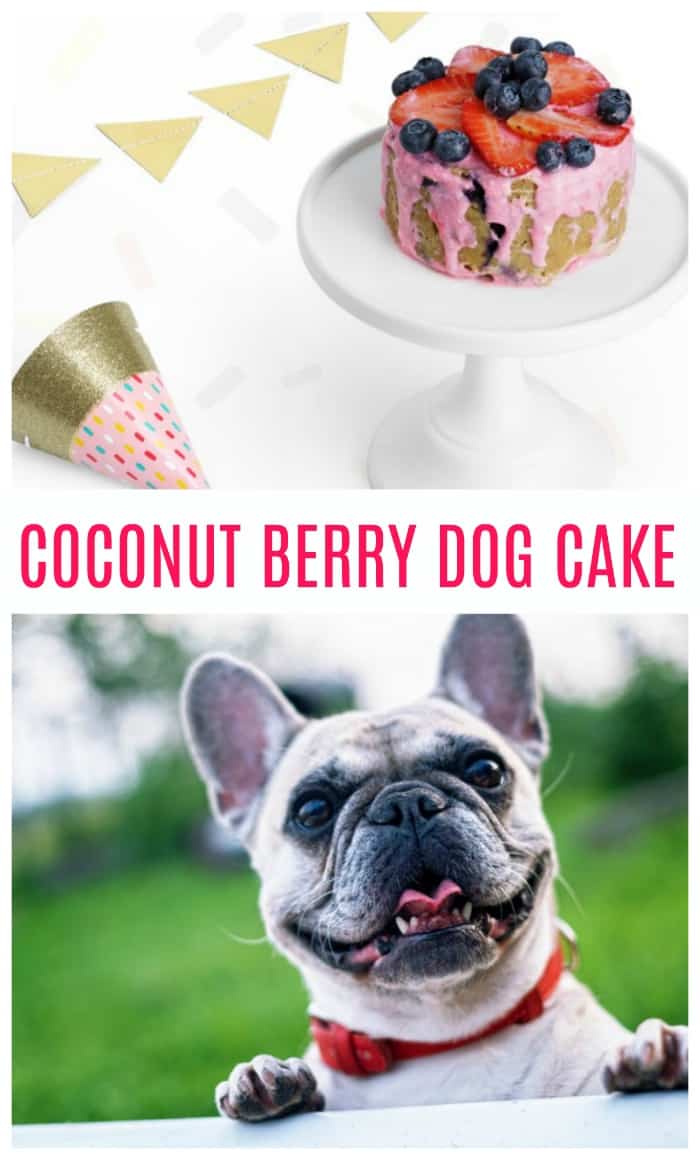 Healthy Dog Cake Recipes to Treat Your Pup's Special Day