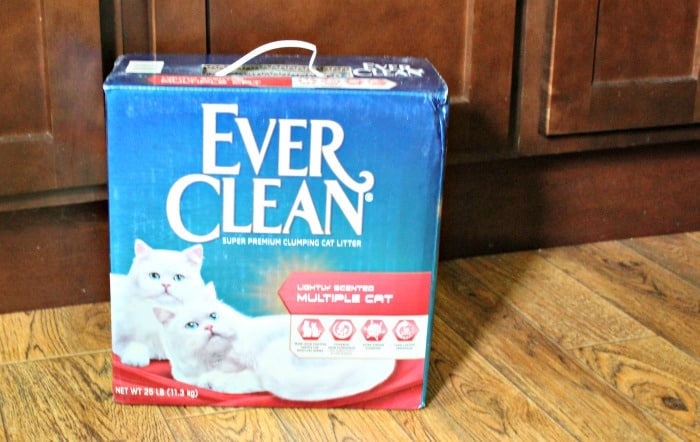 Multi-Cat Household Tips for Freshness and Odor Control