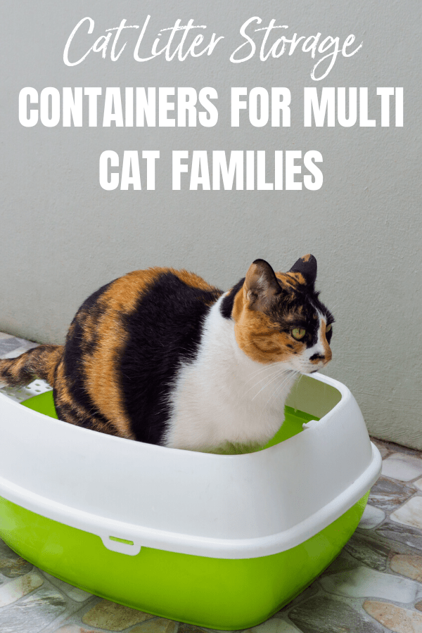 What types of cat litter storage containers do you use to store your cat litter? Do you keep it in the original bag or cardboard box? Or, do you pour multiple bags into a storage container to make access easier?