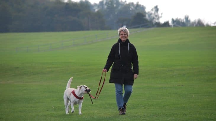 woman walking a dog on a leash