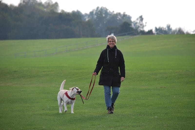 woman walking a dog on a leash