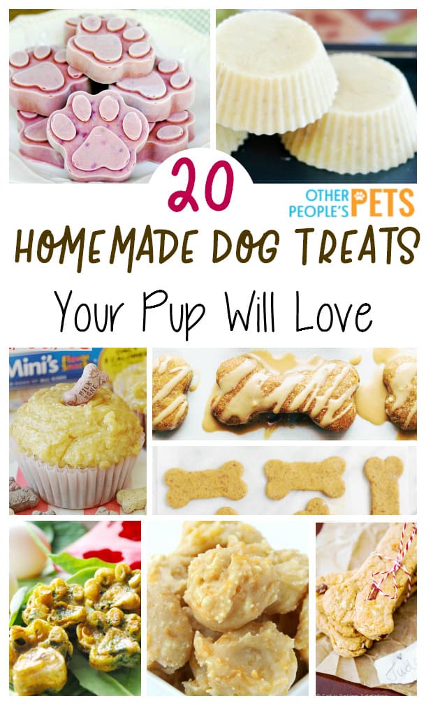 20 Homemade Doggie Treats Your Pup Will Love