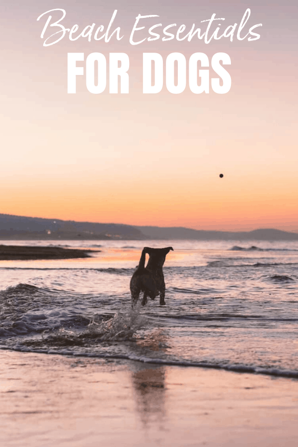Check out this free beach essentials for dogs printable! You won't want to forget anything your dog will need as you head out to the beach this summer. Scroll to the end for a free printable because you'll want to keep that on hand.