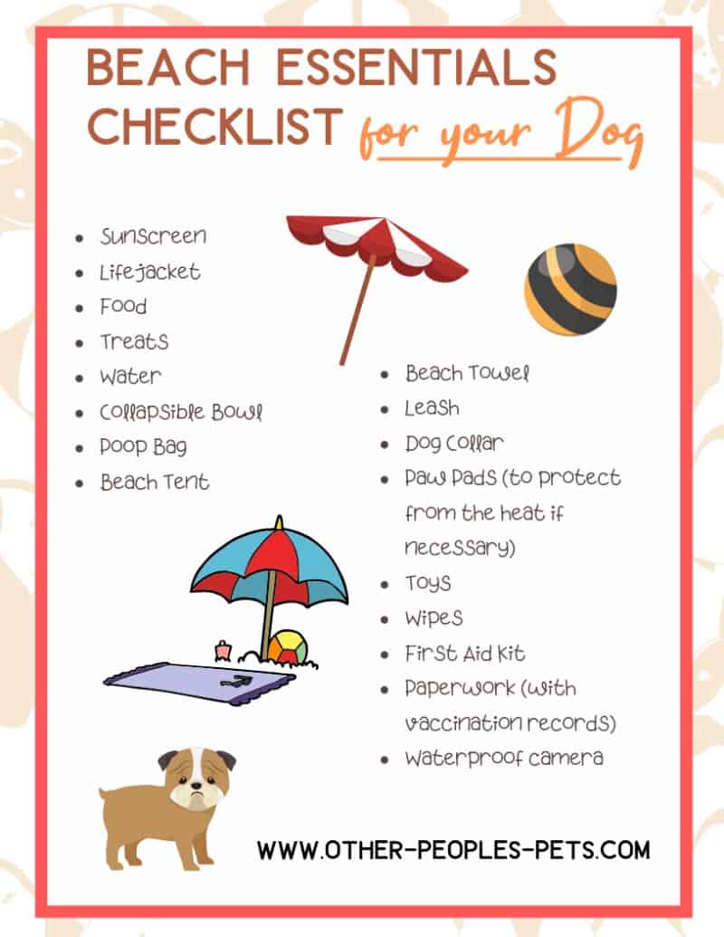 Beach essentials for dogs checklist