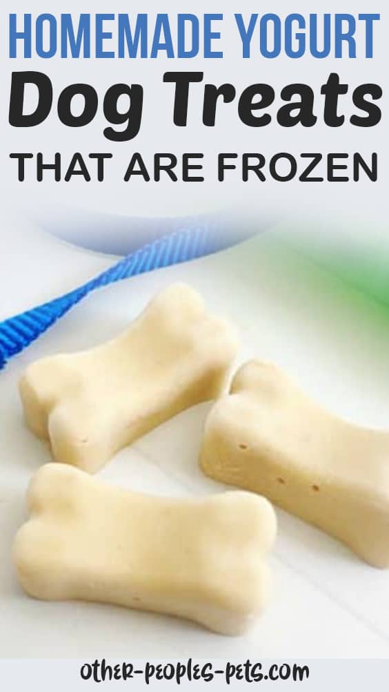 Homemade Yogurt Dog Treats that are Frozen