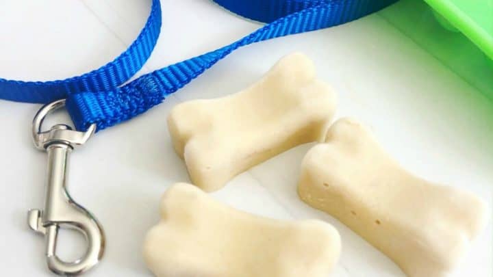 homemade yogurt dog treats