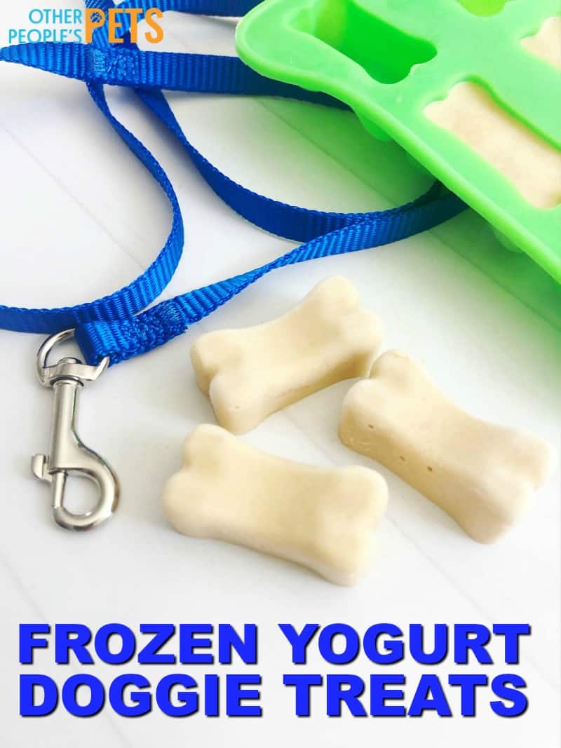 Frozen homemade yogurt dog treats your pup will love