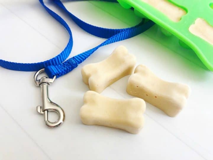 Homemade Yogurt Dog Treats that are Frozen and Healthy