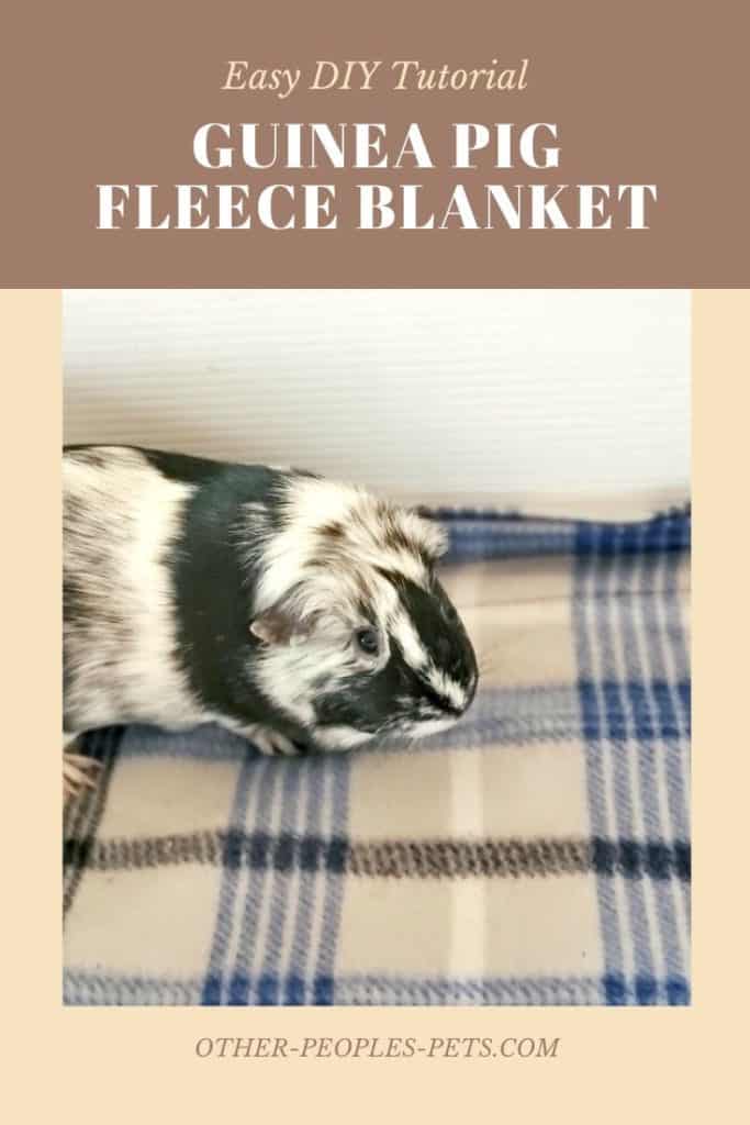 Guinea Pig Fleece Blanket DIY Tutorial Other People's Pets