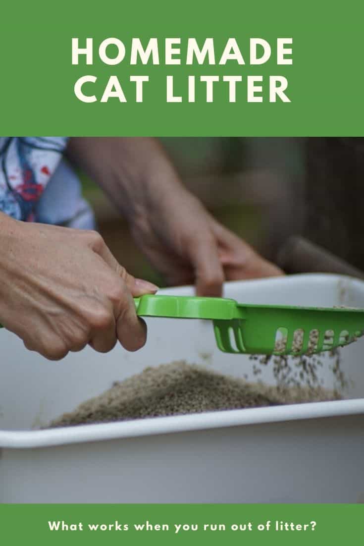 Homemade Cat Litter Alternative When You Run Out