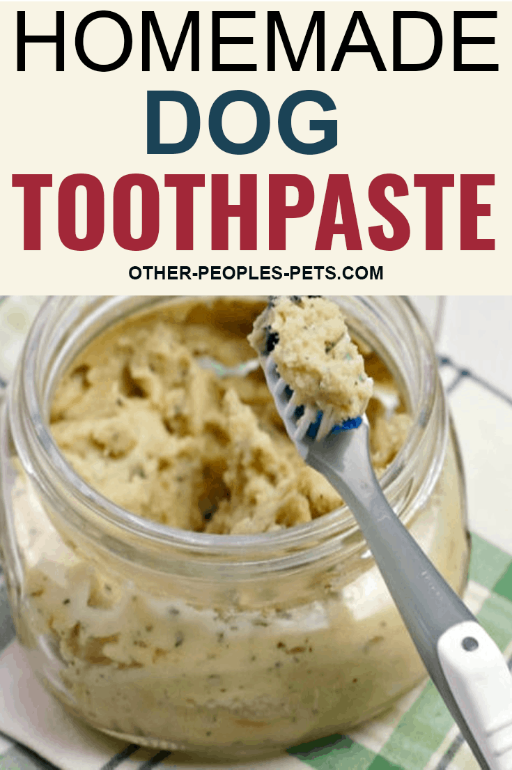 If you've been looking for a homemade dog toothpaste your dog will let you brush his teeth with, this is it. Try this easy recipe today.