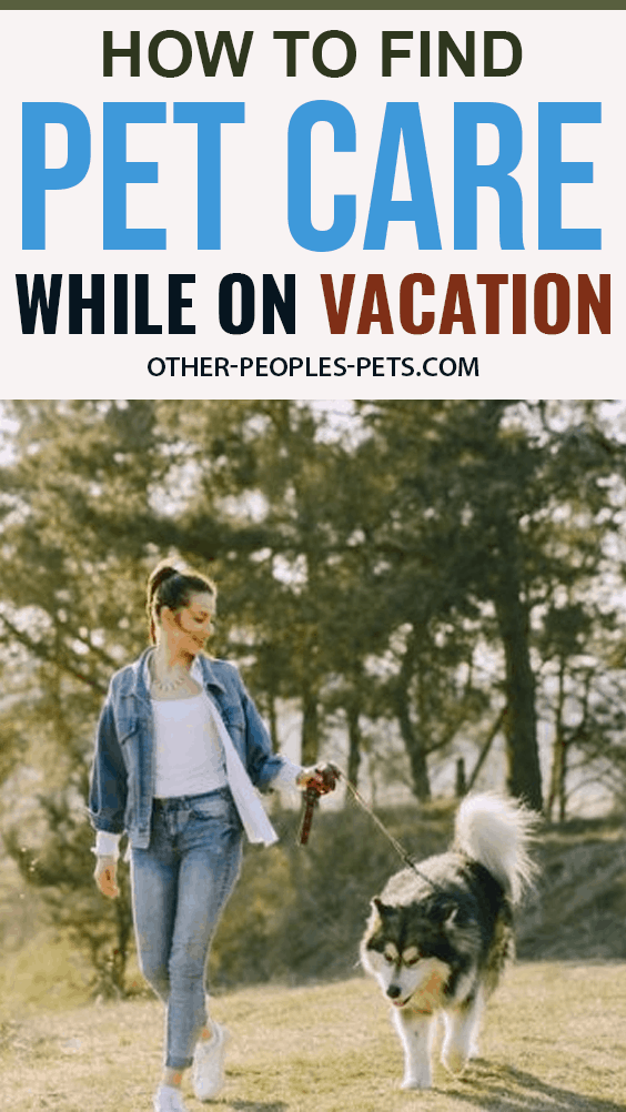 How to Find Care for Your Pet While on Vacation