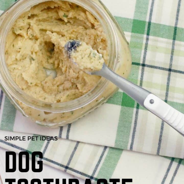 homemade dog toothpaste recipe