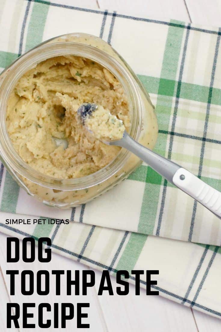 Homemade Dog Toothpaste Your Dog Will Like