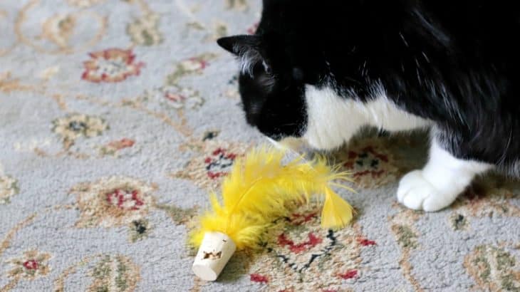 cork cat toys with yellow feathers on a blue rug