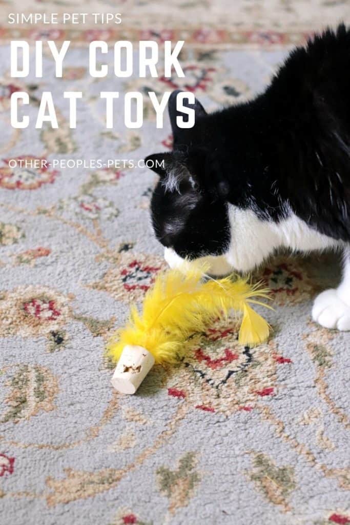 Cork Cat Toys for Indoor Cats to Encourage Activity