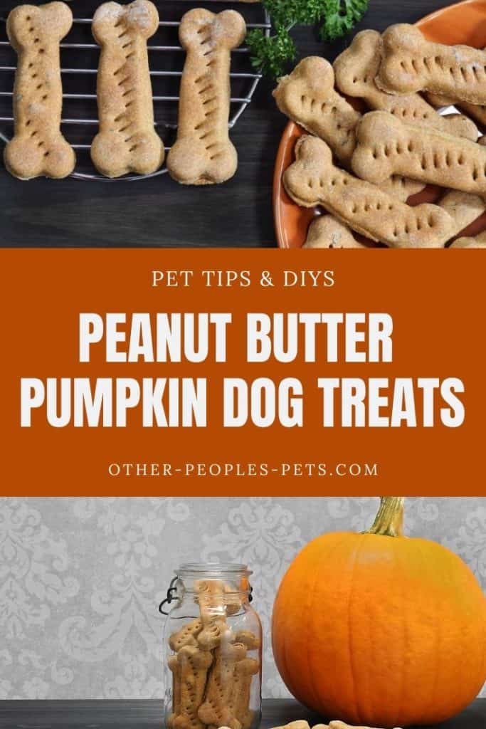 Homemade Pumpkin Peanut Butter Dog Treats Recipe