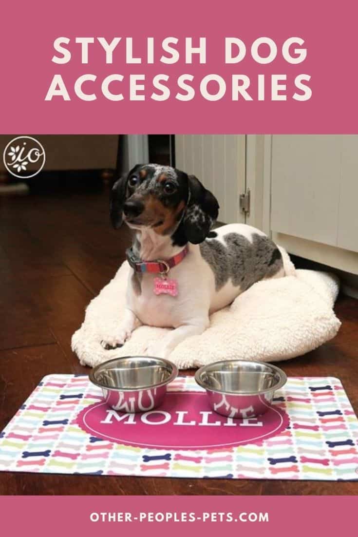 These stylish dog accessories are exactly what your pampered pup needs! Check out these cool gifts for pet lovers and their dogs.