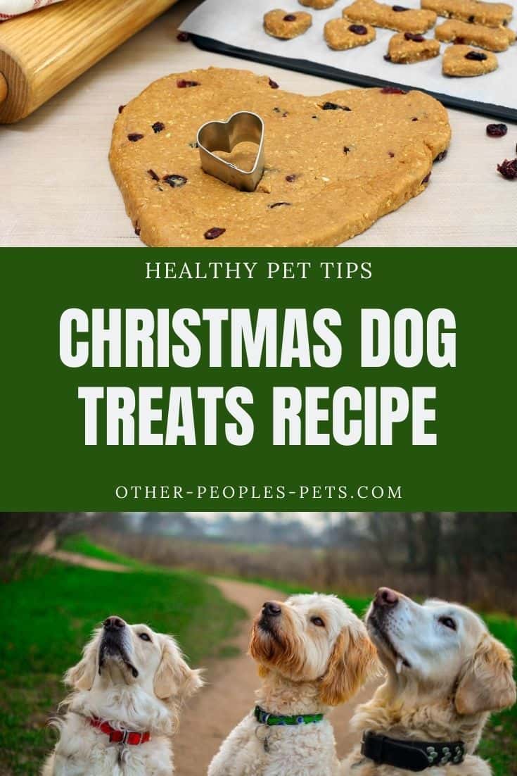 If you're looking for a last-minute gift for your favorite pup, make a batch of these Christmas dog treats. Try this easy recipe today.
