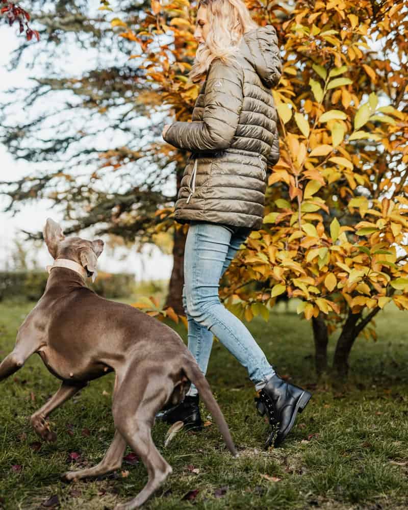 a woman walking her dog in the autumn