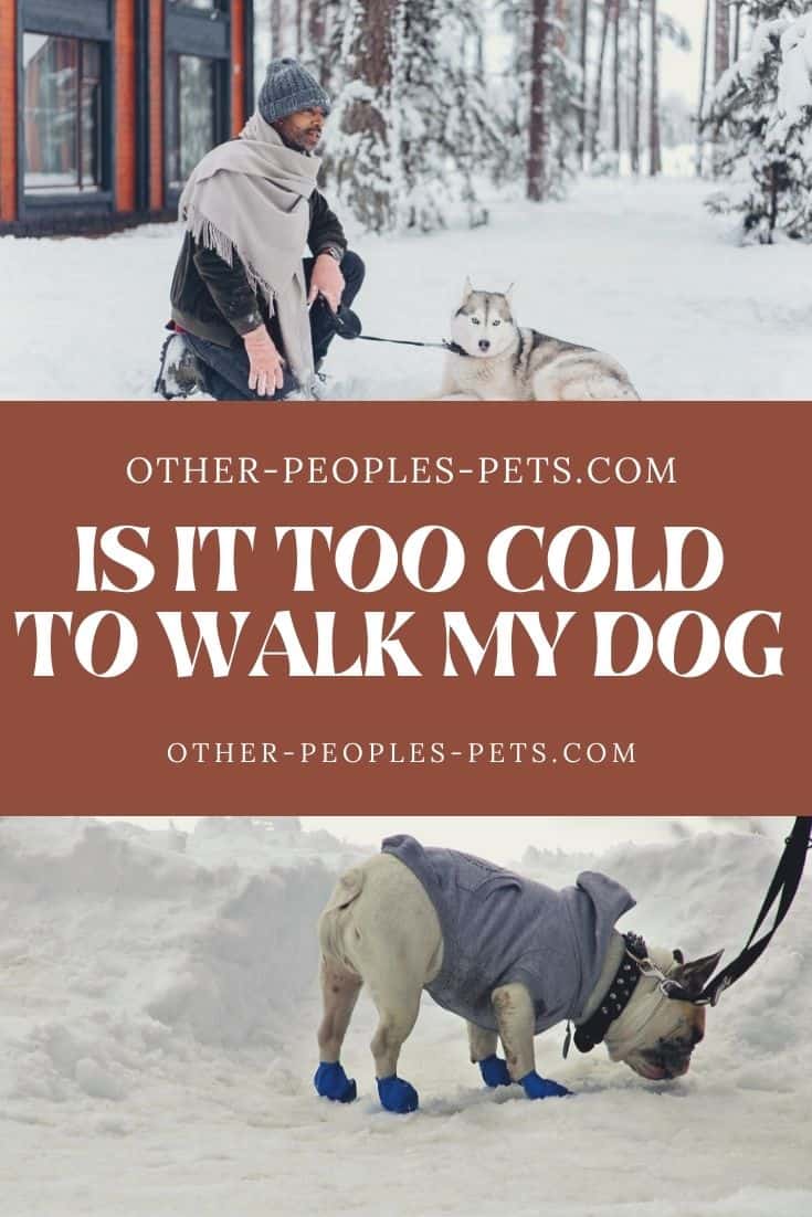 These winter dog walking tips can make all the difference in how much you and your dog enjoy your walk. Check out my tips today.